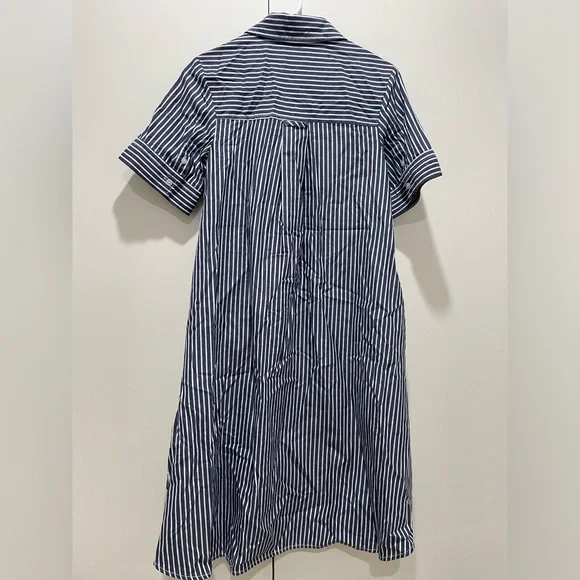 Everlane Daytripped Blue Pinstripe Button Up Shirt Dress - Picture 10 of 11